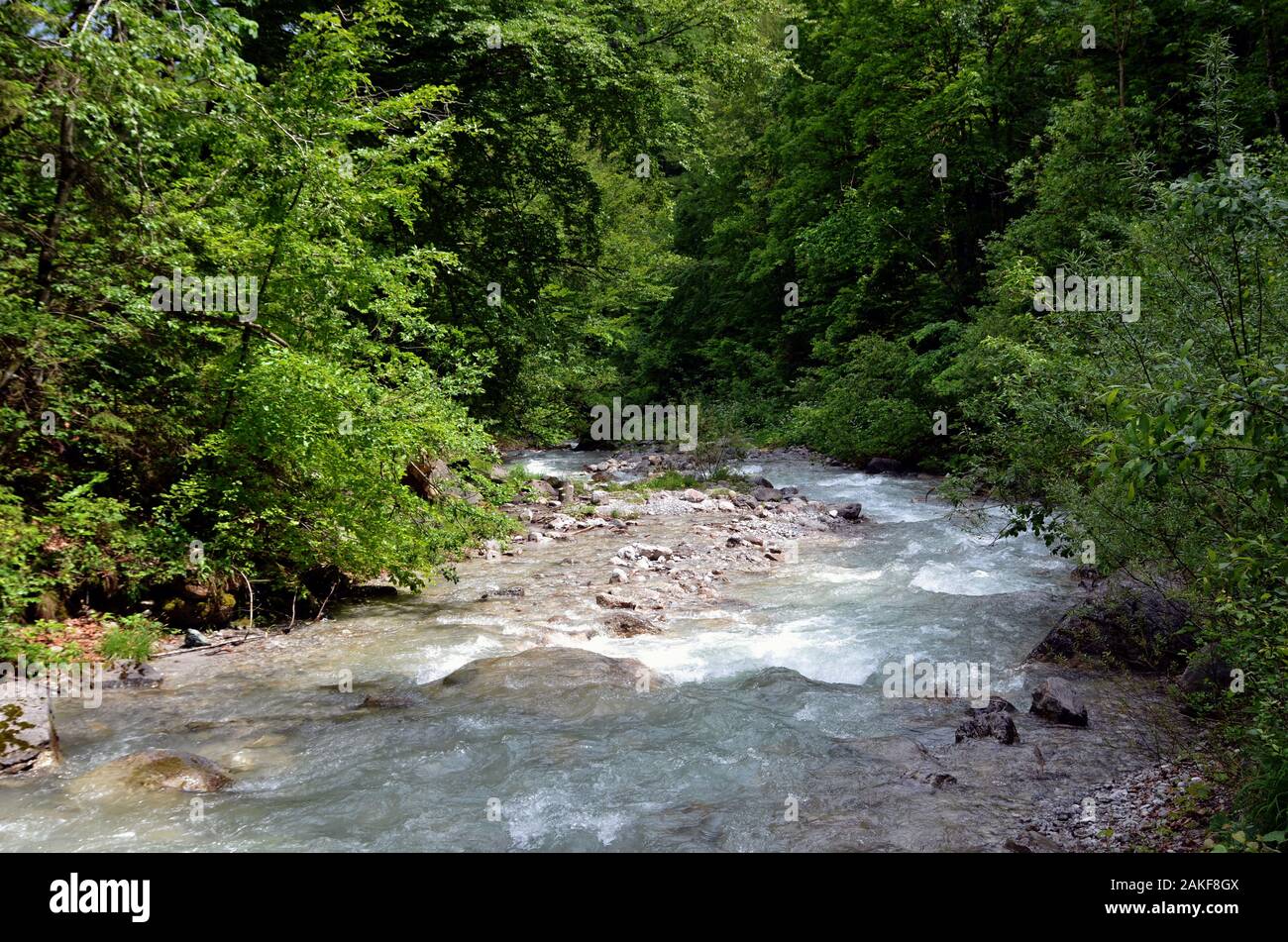 Austria Wild Rivers Wild river running through the forest in Tirol Austria europe Stock ...