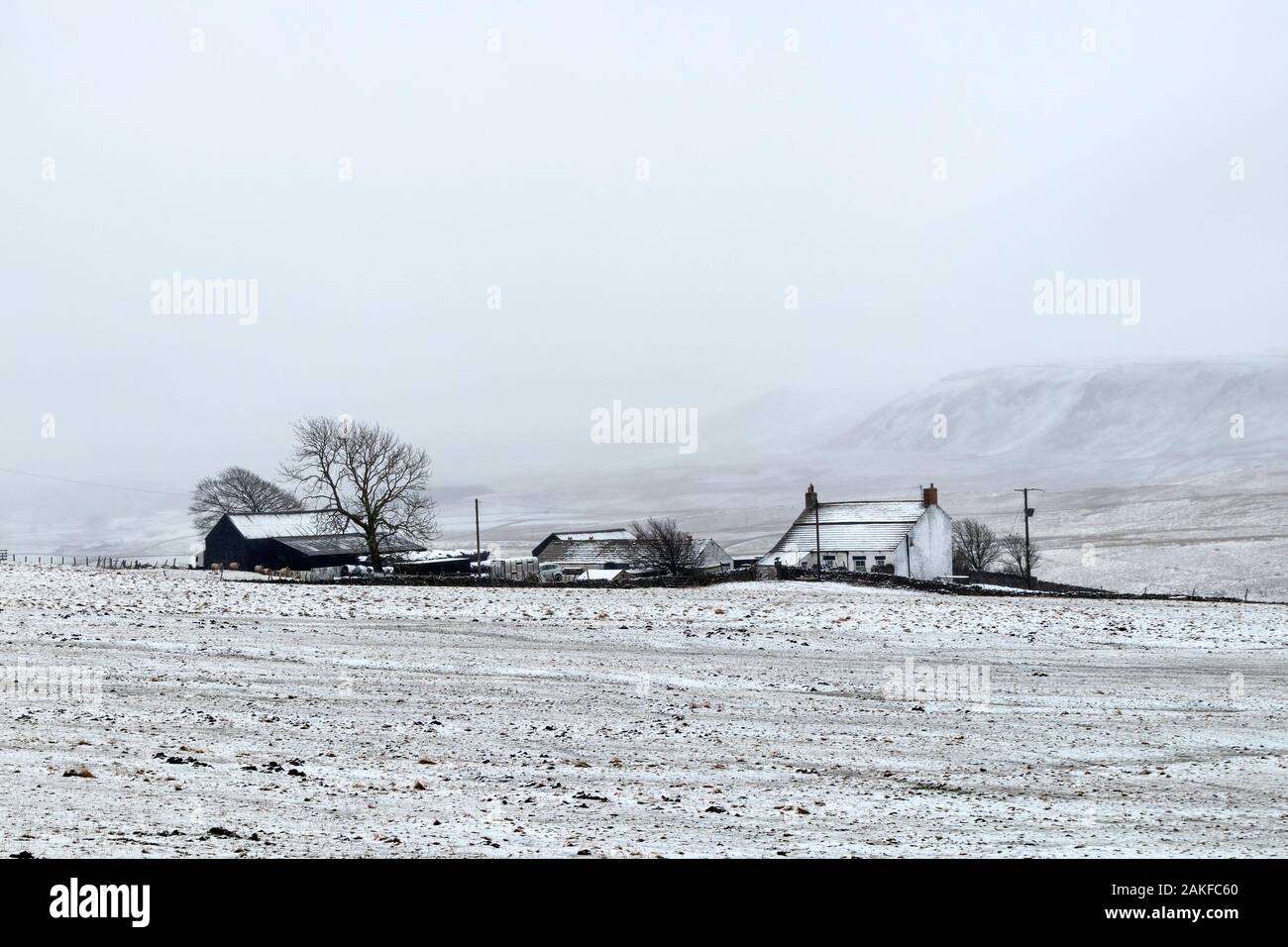 ForestinTeesdale, County Durham, UK. 9th January 2020. UK Weather