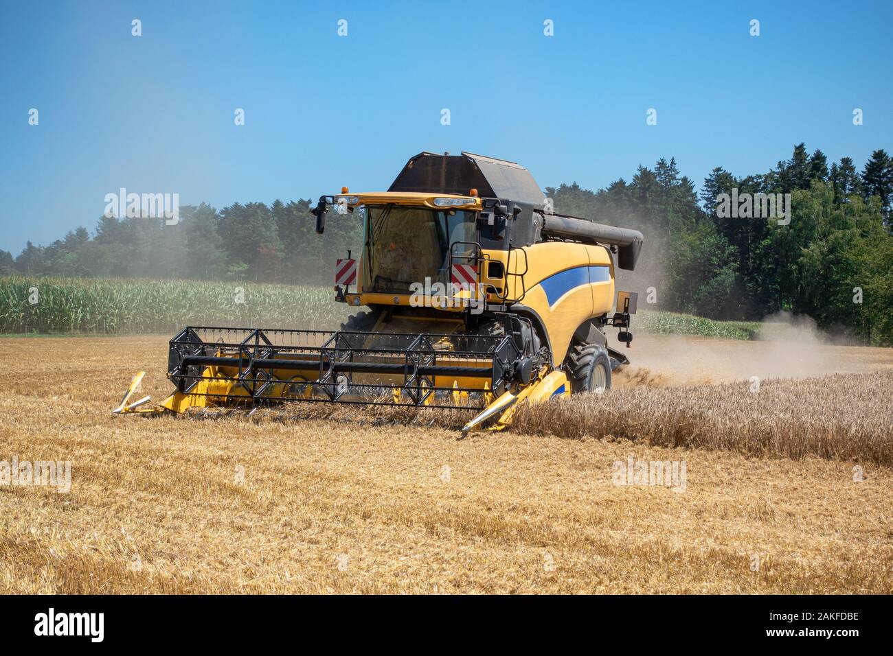 Combine harvester is harvesting a grain field Stock Photo