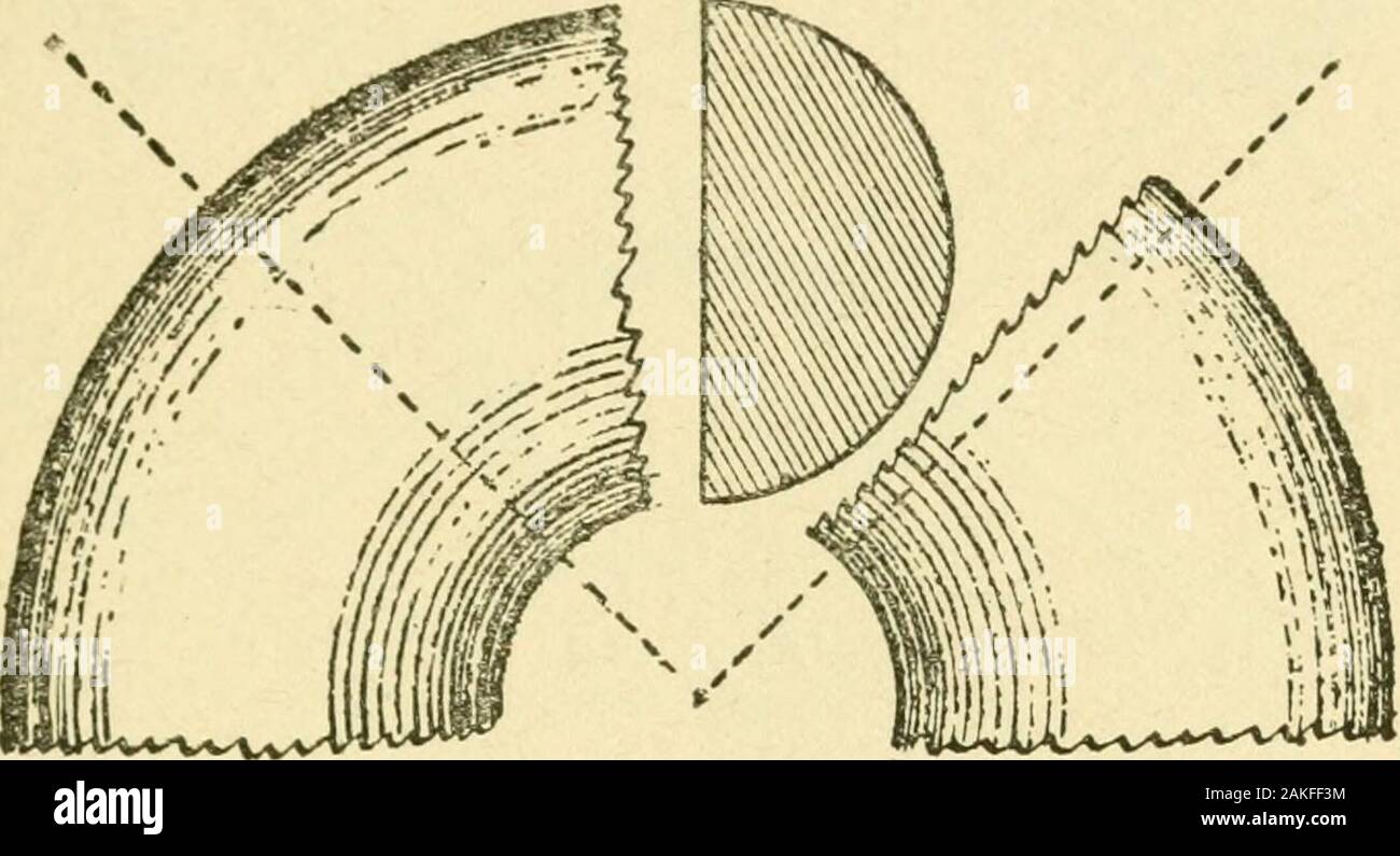 Pattern making and foundry practice; a plain statement of the methods of wood pattern making, as practiced in modern pattern shops, with complete instructions for sweep work and notes on foundry practice, together with numerous drawings taken from actual patterns .. . *rh€ Worlii-n^ SiraWiii^ for pijae ^boW this pattern, take a piece of stuff of properdimensions and into the face turn a semicircular AND FOUNDRY PRACTICE 129 groove of the radius desired. Cut this plank inquarters, using one of the parts for the curved. portion of the box, which is finished by gluingon strips in which proper sem Stock Photo