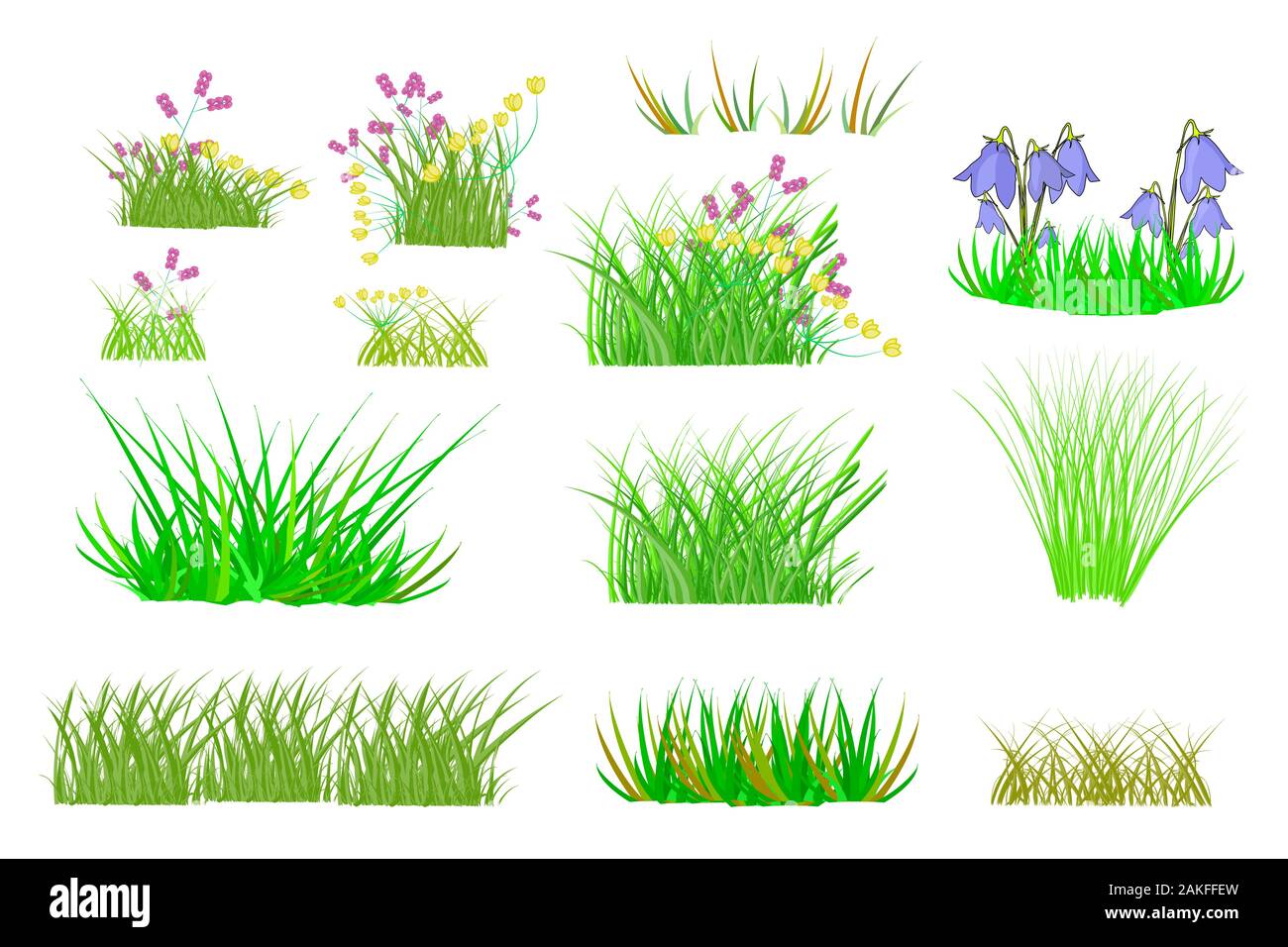 Grass set isolated on white background. Collection with summer green grass and flowers. Realistic green grass, fresh spring plants, different herbs, b Stock Vector