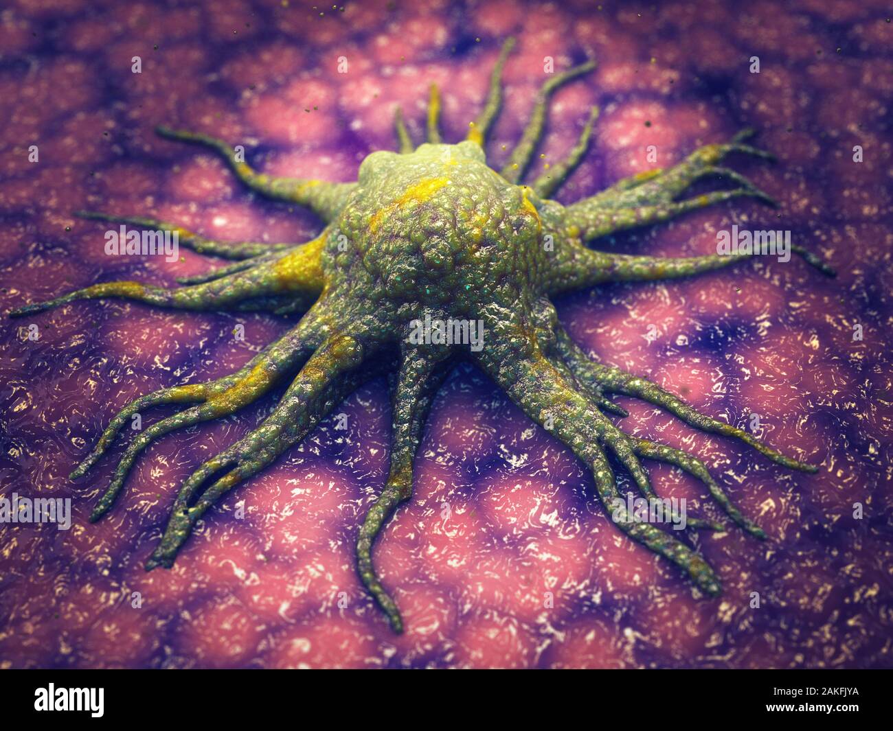 Cancer cell invading tissue, Cancer metastasis is the spreading of malignant cells  to other parts of the body, 3d illustration Stock Photo
