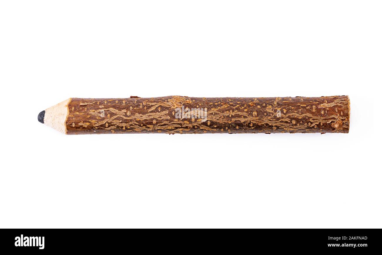 Wood bark pencil isolated on white background Stock Photo