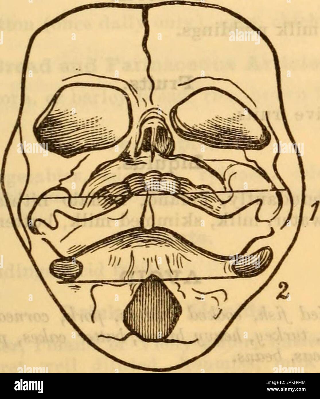 Saunders pocket medical formulary : with an appendix containing posological  table, formulae and doses for hypodermic medication, poisons and their  antidotes, diameters of the female pelvis and foetal head, diet list for
