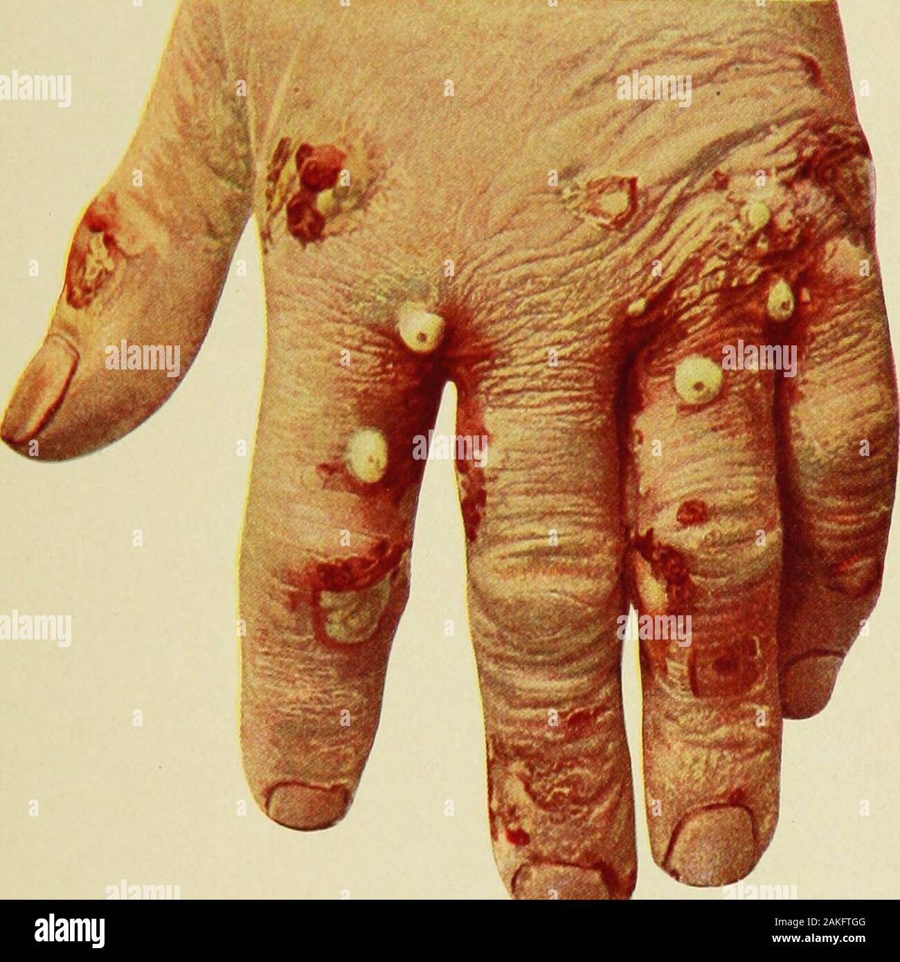Bookyear190 hi-res stock photography and images - Page 3 - Alamy