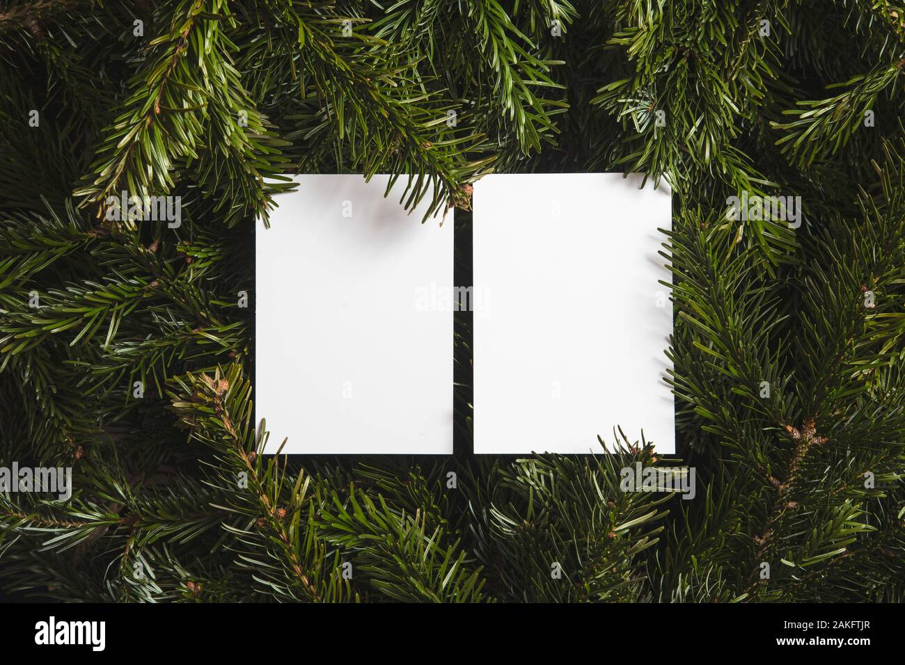 Christmas tree branches lay flat background with blank white card Stock Photo