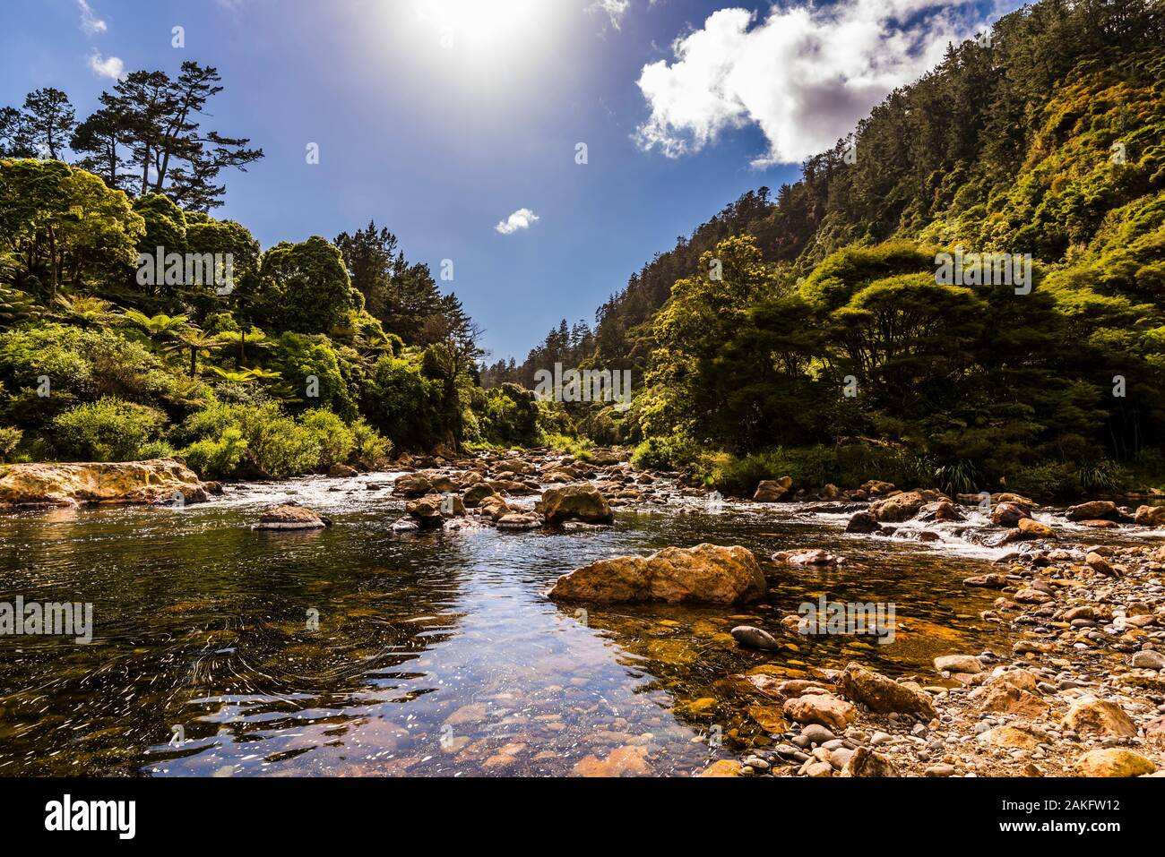 The Ohinemuri River at Karangahake Gorge, Waikato, North Island, New Zealand Stock Photo