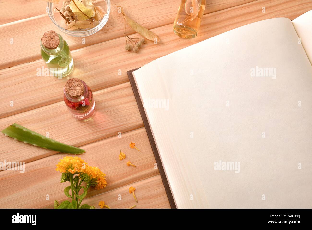 Blank book of recipes for the preparation of natural plant medicine on wooden table with medicinal and aromatic plants. Top view. Horizontal compositi Stock Photo