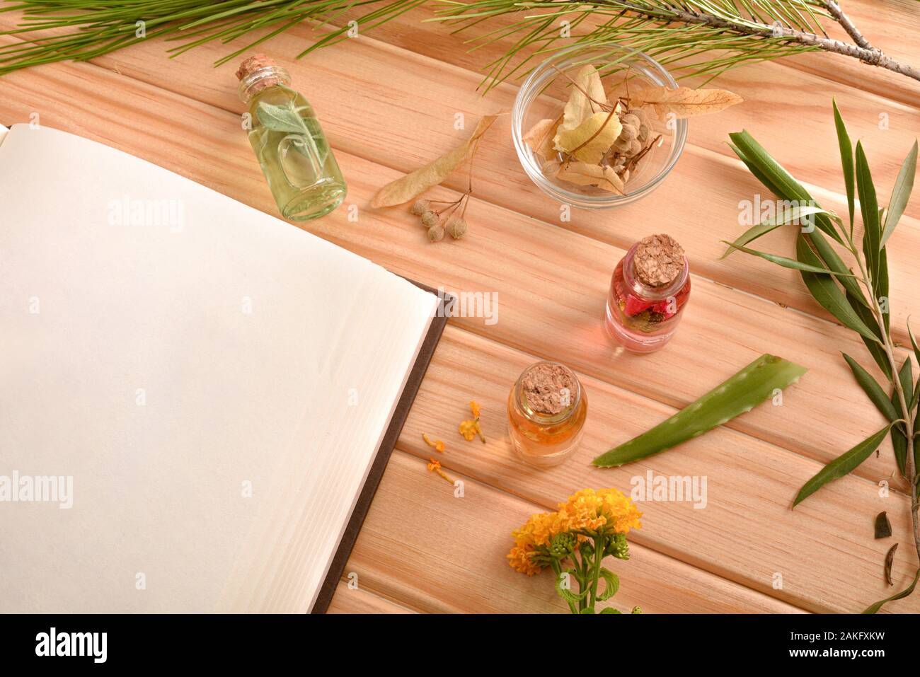 Blank book of recipes for the preparation of natural plant medicine on wooden table with medicinal and aromatic plants. Top view. Horizontal compositi Stock Photo