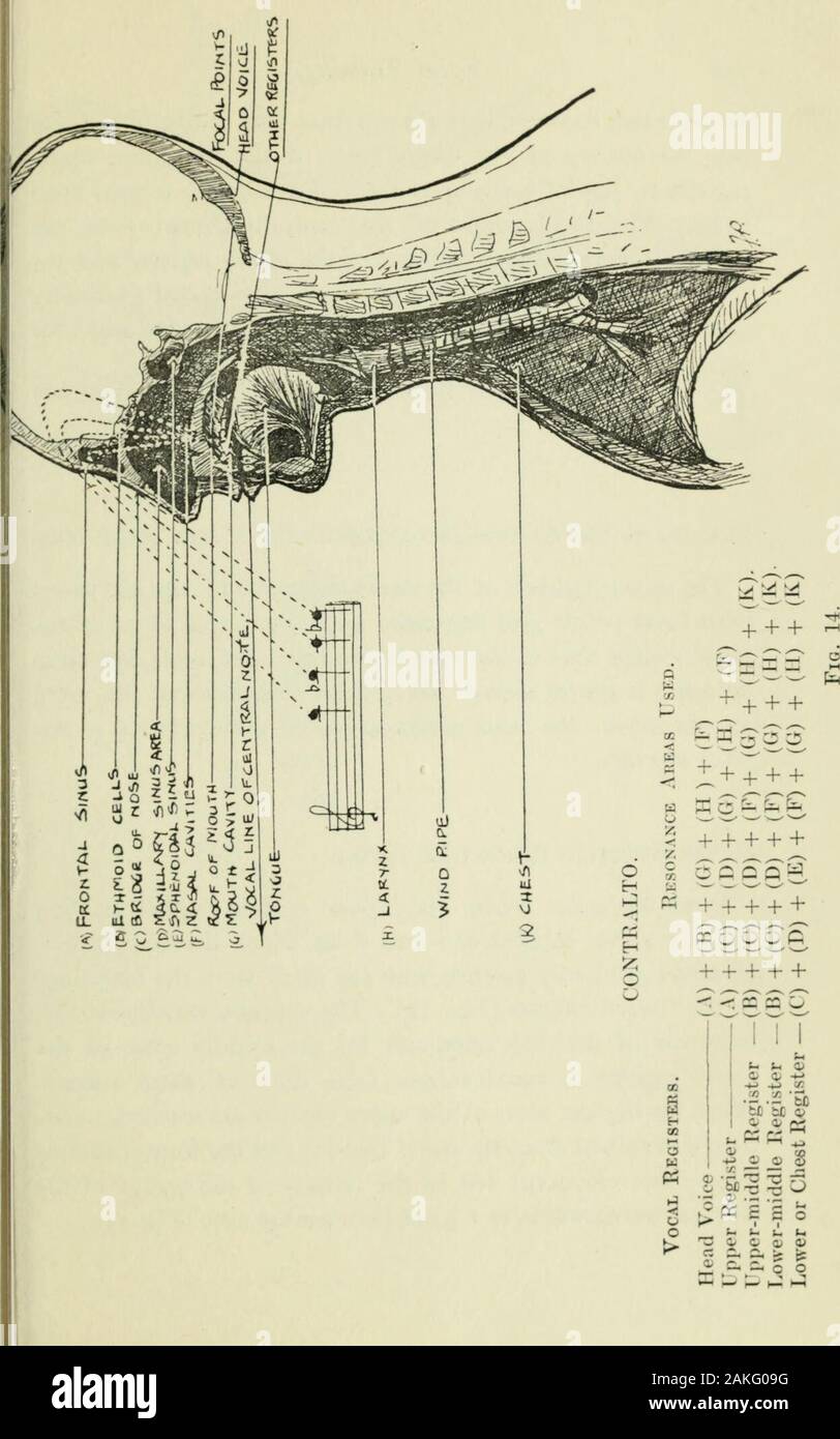 Philosophy of vocal culture : a textbook of vocal training and preparation  for song interpretation . fluence of chest resonance is absent. The  contralto should think the placing and resonance of theupper