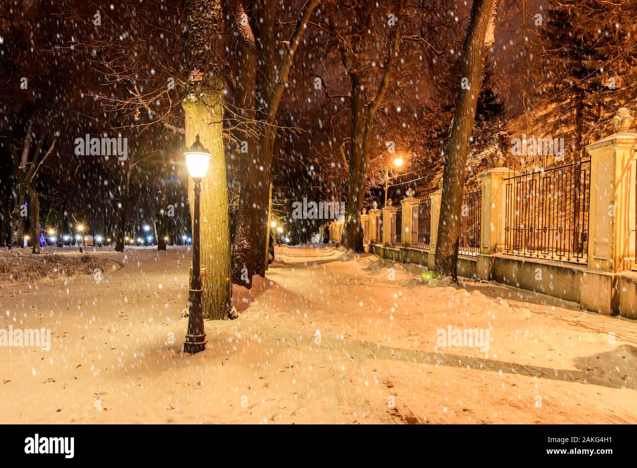 Night park in winter with trees, lanterns and falling snow. New Year's ...