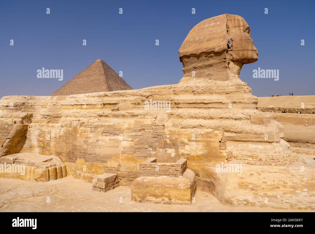 Great Sphinx of Giza, with the Great Pyramid in the background Stock ...