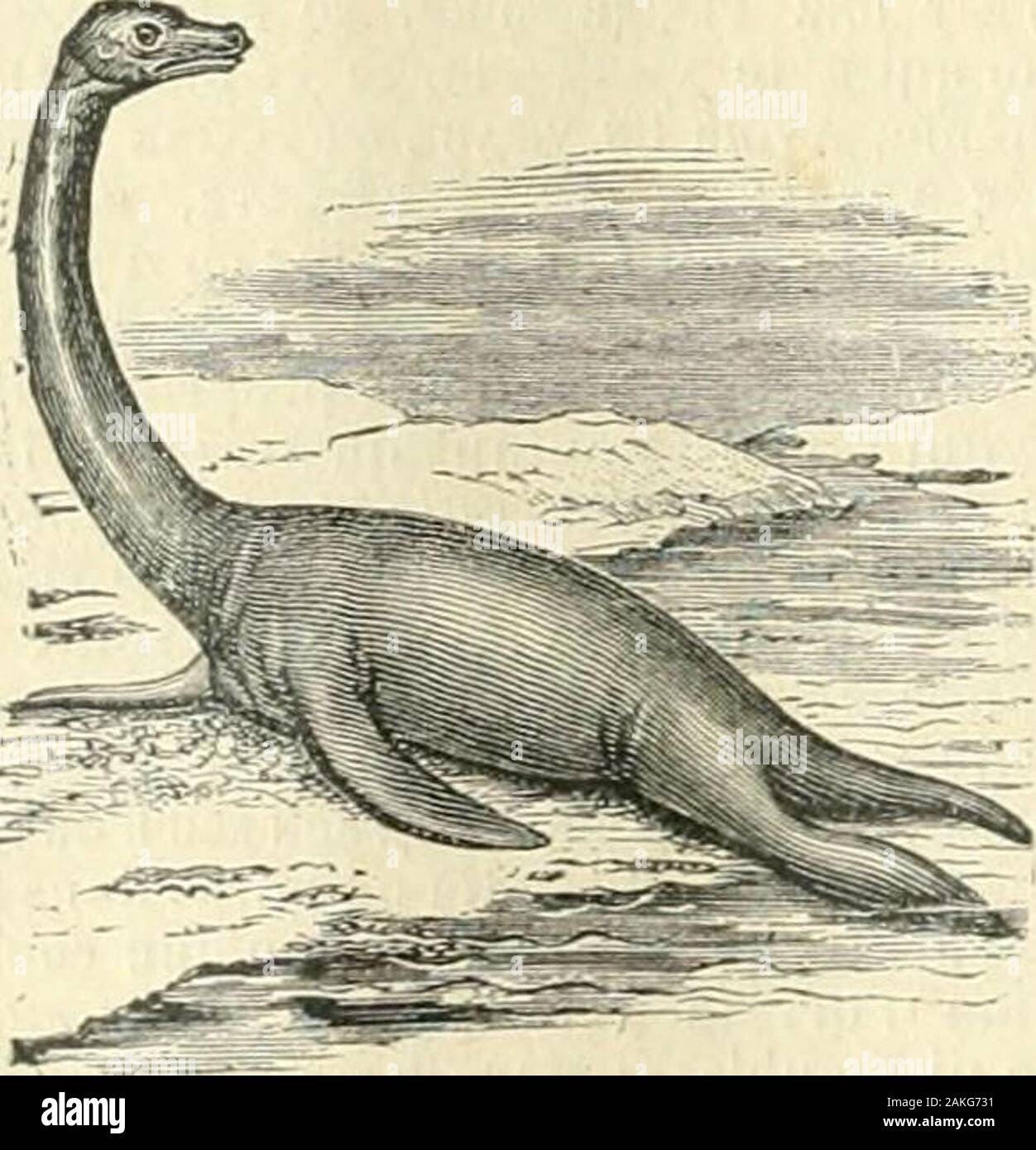 Nouveau Dictionnaire Encyclopedique Universal Illustre Repertoire Des Connaissances Humaines Appelle Vu 1 En Est De Meme