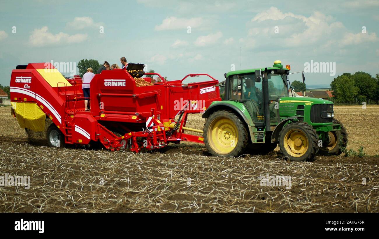 Potato harvesting in the field with a special harvester machine Grimme