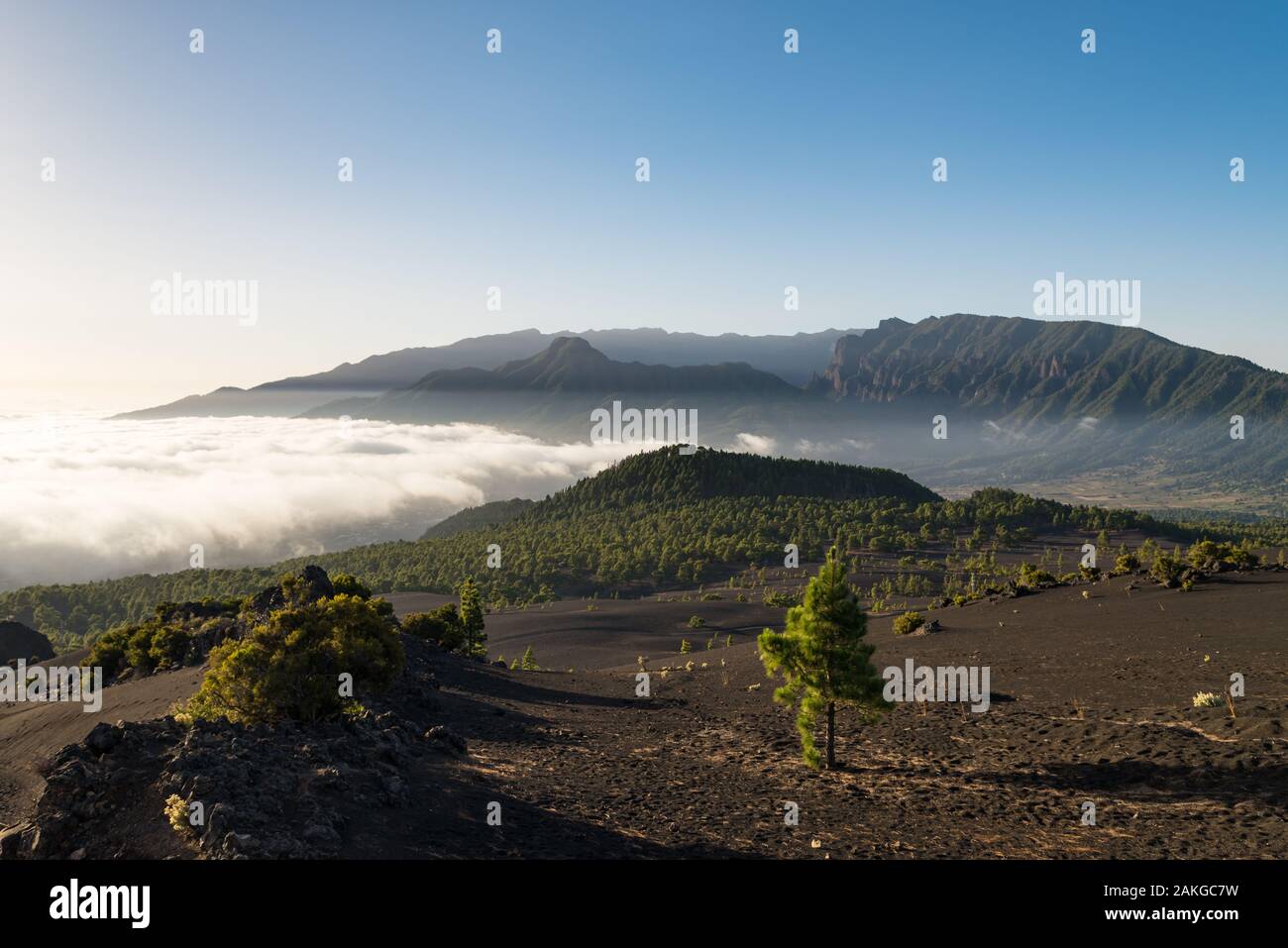 Island of la palma hi-res stock photography and images - Alamy