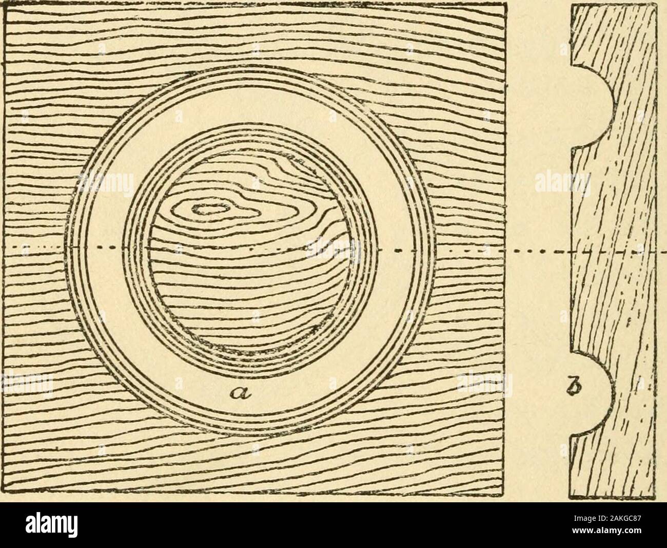 Pattern making and foundry practice; a plain statement of the methods of wood pattern making, as practiced in modern pattern shops, with complete instructions for sweep work and notes on foundry practice, together with numerous drawings taken from actual patterns .. . 7^^ 3/r 70 PATTERN MAKING intricate task and is clearly illustrated in Fig. 36,which contains a sectional view of the finishedpattern. To make this pattern, cut out the discs a a.Fig. 36, of proper size for turning up. To these. T^a7fC f oj tvrrnTto co-re hote for Tiq 30 discs glue the band h in sections, and to one discthe core Stock Photo