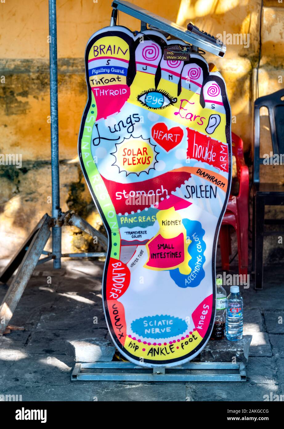 Colourful large foot mannequin used for advertising acupuncture detailing different parts of the body and feet, Hoi An, Vietnam Stock Photo