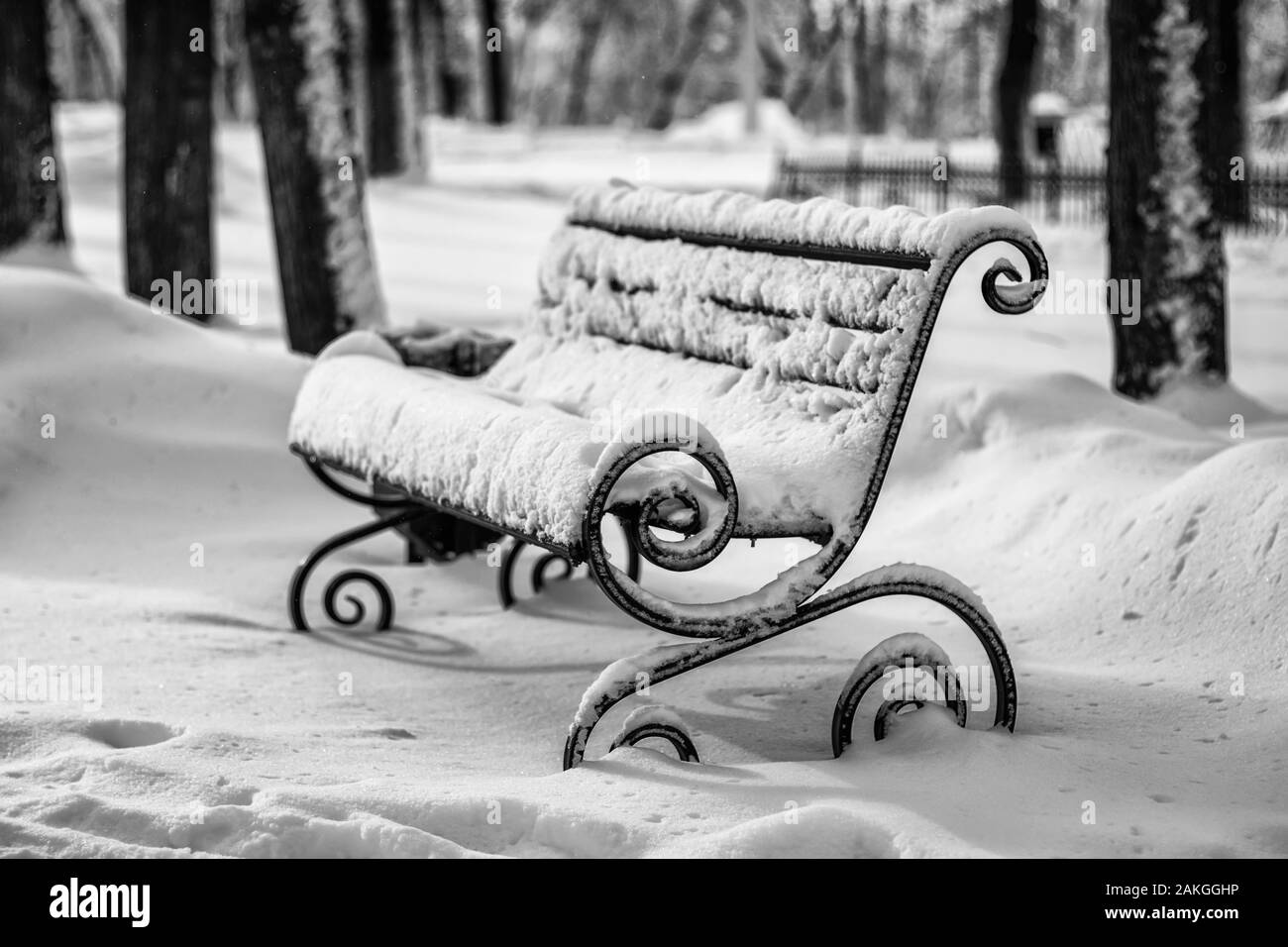 The bench is covered with snow and ice on a sunny winter day in the ...