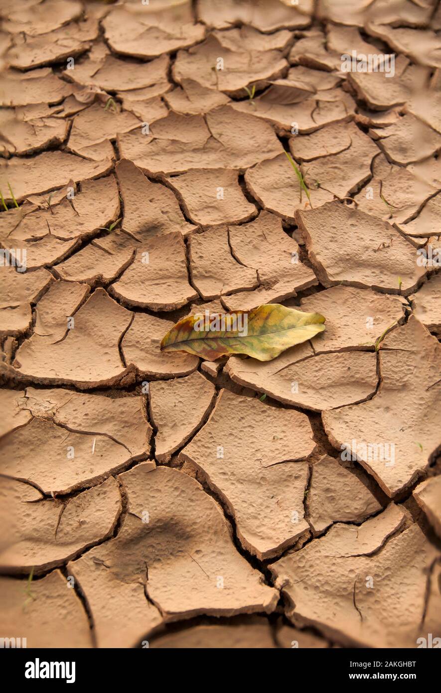 desert dry place ground cracked Stock Photo