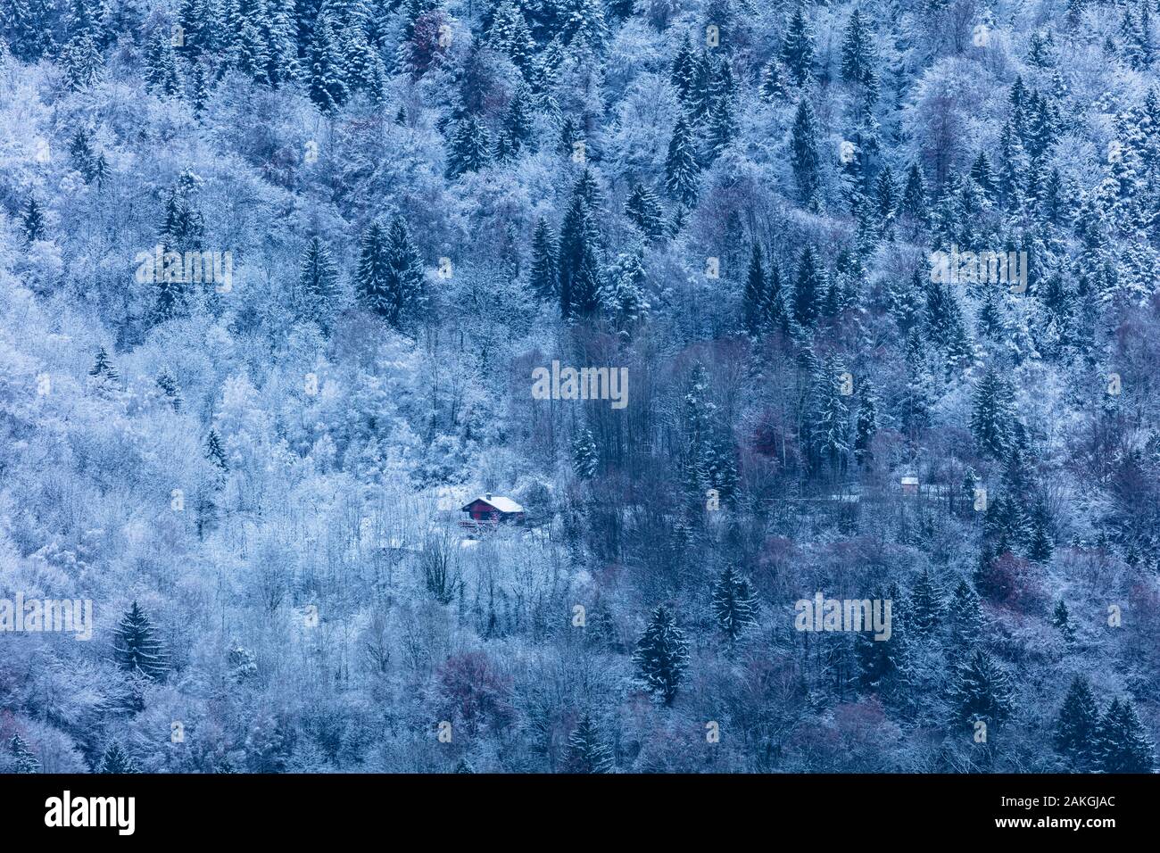 France, Savoie, Saint Oyen, Massif de la Vanoise, Tarentaise valley, isolated chalet in the forest Stock Photo