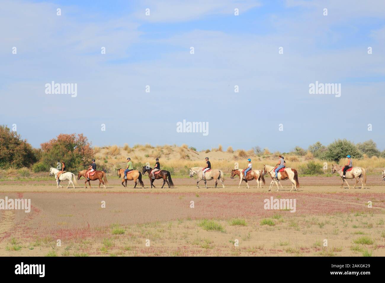 France, Gard, Petite Camargue, Le Grau-du-Roi, Plage de l'Espiguette, horse riding in the dunes Stock Photo