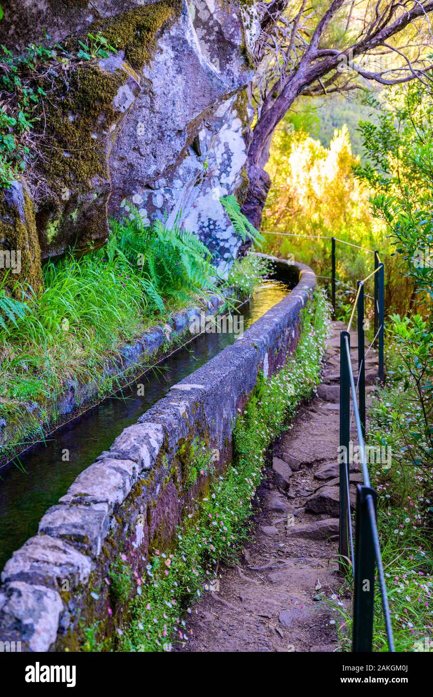 Hiking Levada trail 25 Fontes in Laurel forest - Path to the famous Twenty-Five Fountains in beautiful landscape scenery -  Madeira Island, Portugal Stock Photo