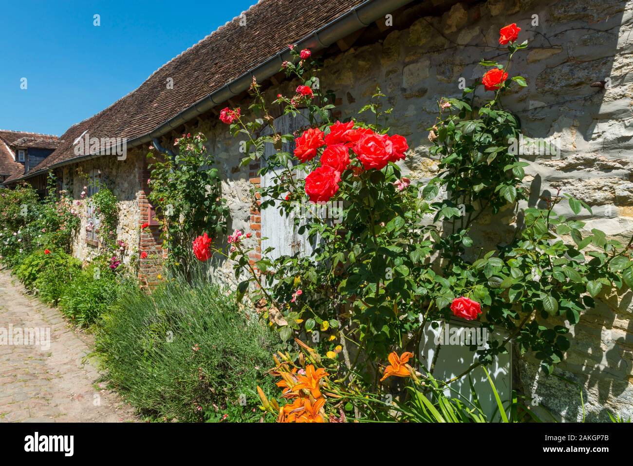 France, Oise, Gerberoy, ranked Most Beautiful Villages of France, its houses of the seventeenth and eighteenth centuries, made of wood and cob or brick and flint, Gerberoy make a unique place to walk in spring and summer, the climbing roses on the facades transform the town into a real rose garden Stock Photo