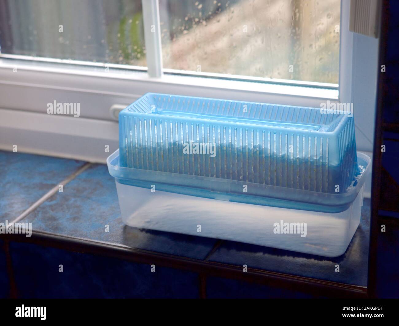 Damp clear moisture trap Stock Photo Alamy