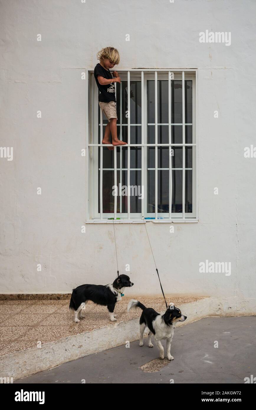 Spain, Canary Islands, Fuerteventura Island, El Cotillo, Fishermans Quarter, young boy with two dogs Stock Photo