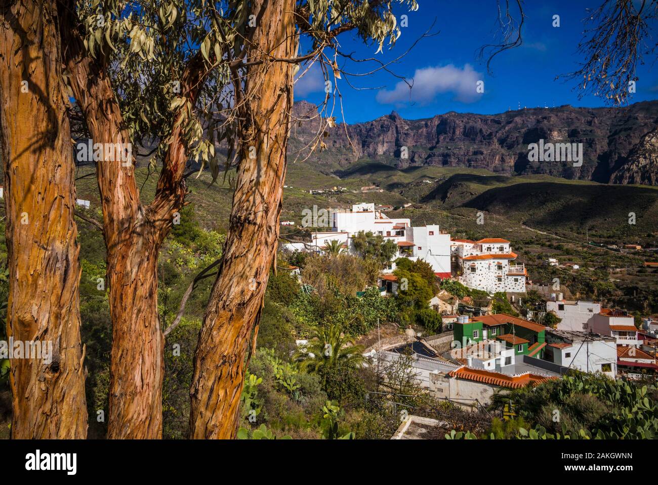 Spain, Canary Islands, Gran Canaria Island, San Bartolome de Tirajana, of town Stock Photo