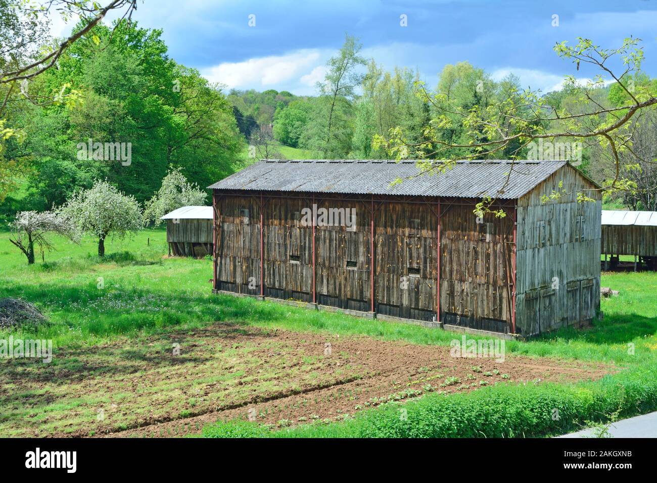 tobacco barn france France, Dordogne, surroundings of Thonac, tobacco drying barn Stock Photo