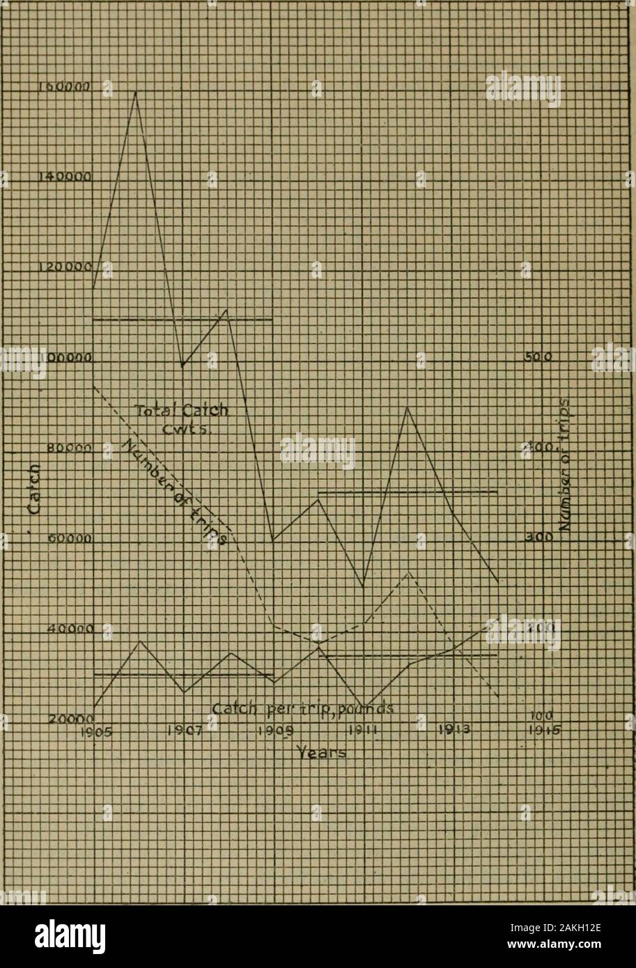 Otter-trawl fisheryLetter from the secretary of commerce transmitting communication from the commissioner of fisheries, submitting a report on the otter trawl fishery, in compliance with items in the sundry civil appropriation acts approved August 24, 1912, and June 23, 1913 .. . this decrease was numericallygreatest prior to 1909, when there was but one steam trawler inservice. The falling off in the totals was, therefore, to some extentdue to a reduction of fishing activity by the Gloucester vessels, andto eliminate this variable we have reduced the catch to a basis of(juantity per trip and Stock Photo
