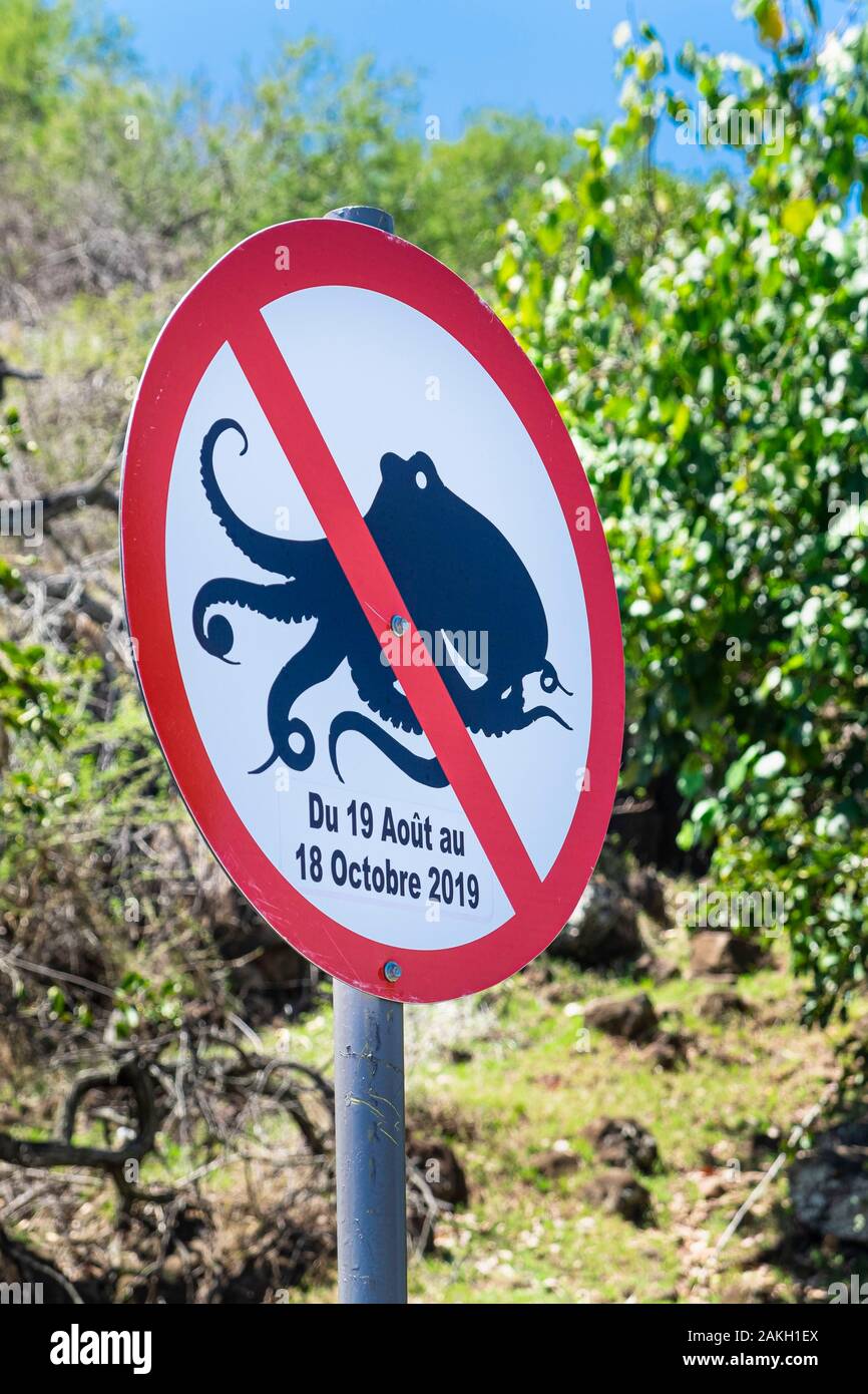 Rodrigues Octopus Rodrigues island caves hi-res stock photography and images - Alamy