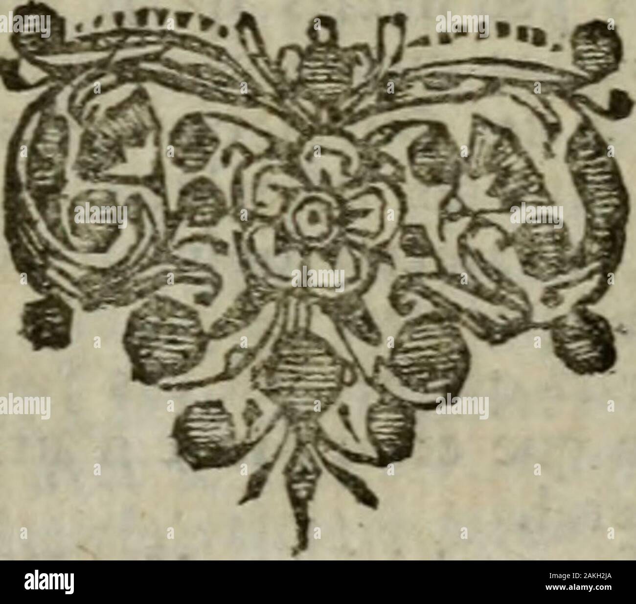 Fenl High Resolution Stock Photography And Images Alamy