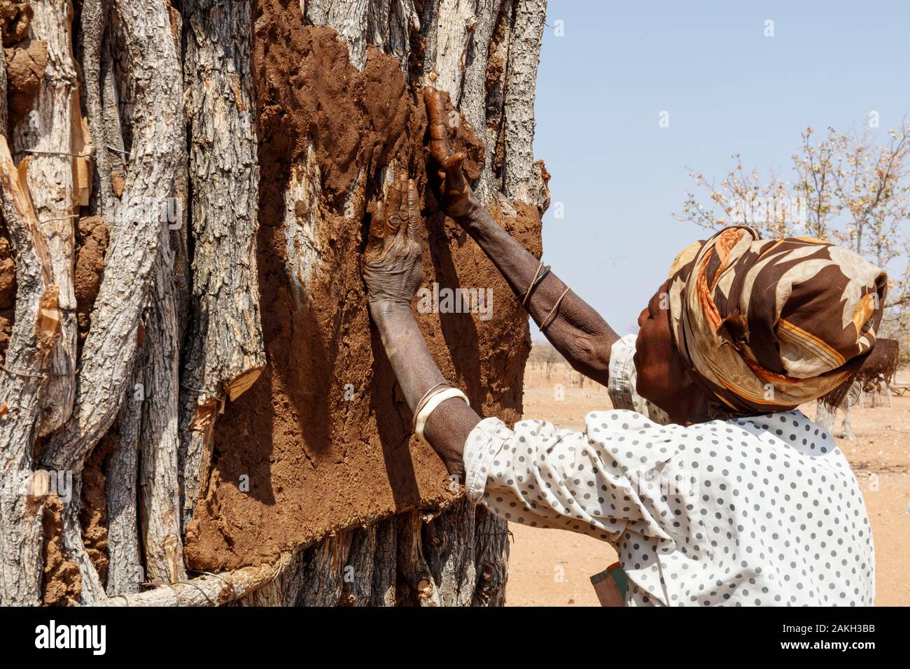 Namibia, Kunene province, Kamanjab, a Damara woman coating her house walls with cob Stock Photo