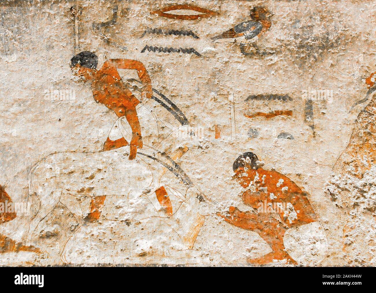 Middle Egypt, Beni Hasan, the tomb of Khnumhotep II dates from the Middle Kingdom. Feeding of gazelles. The movement of one of the men is noticeable, Stock Photo