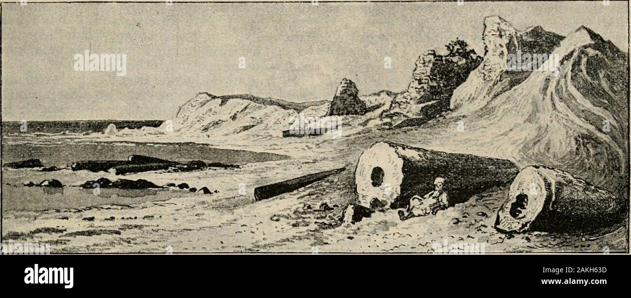 The Art Bible, Comprising The Old And New Testaments : With Numerous  Illustrations . Bay Of Zidon From Sarepta. — 2 5Aw. Xxiv. 6. 398 Daimvs  Initjkti/ Men. 2 Samuel 24. Jjaoid