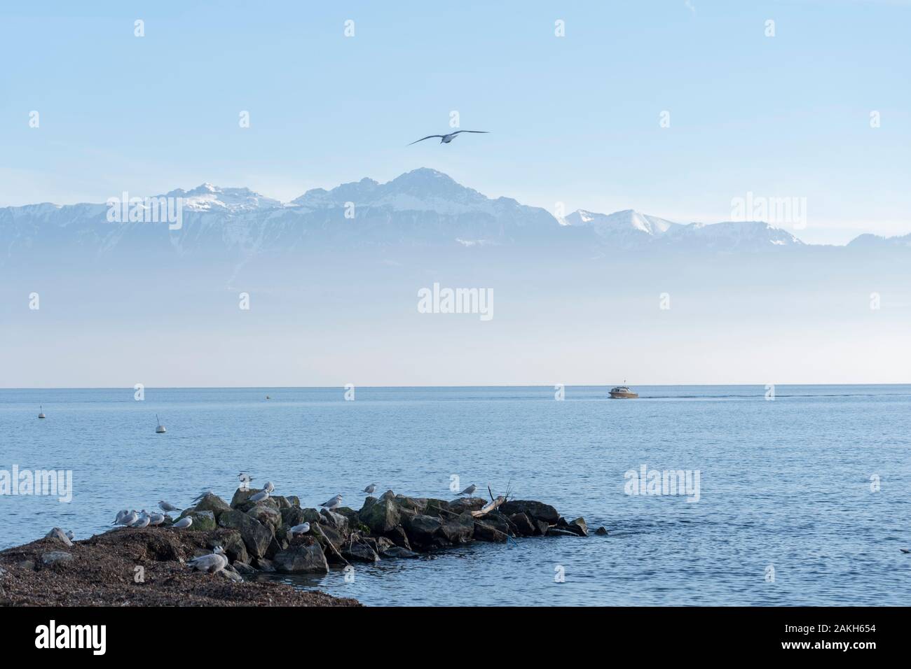 Lake Geneva in Lausanne on the 08th January 2020 in Lausanne in Switzerland. Stock Photo