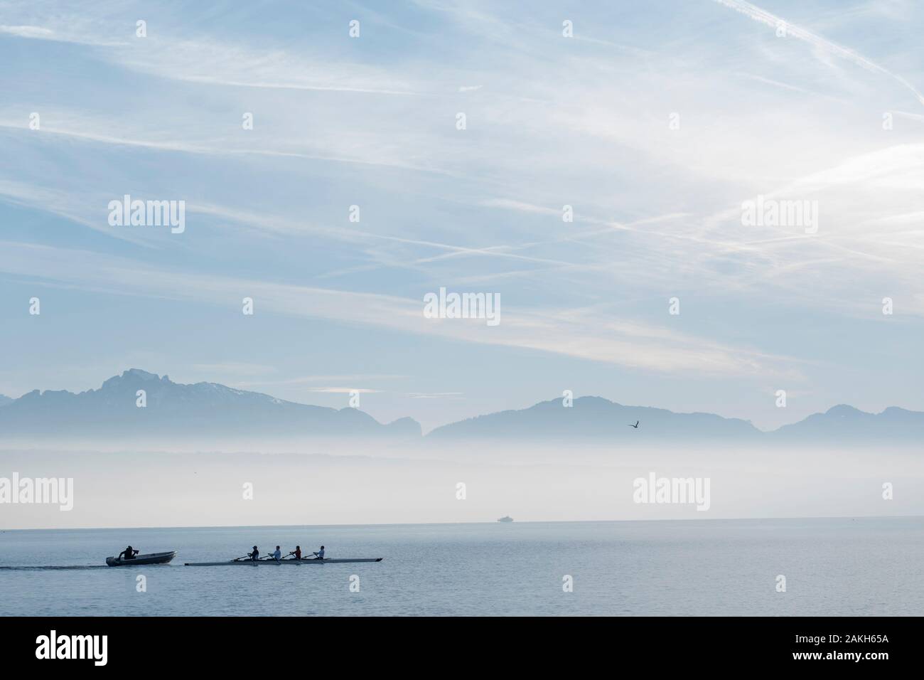 A rowing team on Lake Geneva in Lausanne on the 08th January 2020 in Lausanne in Switzerland. Stock Photo