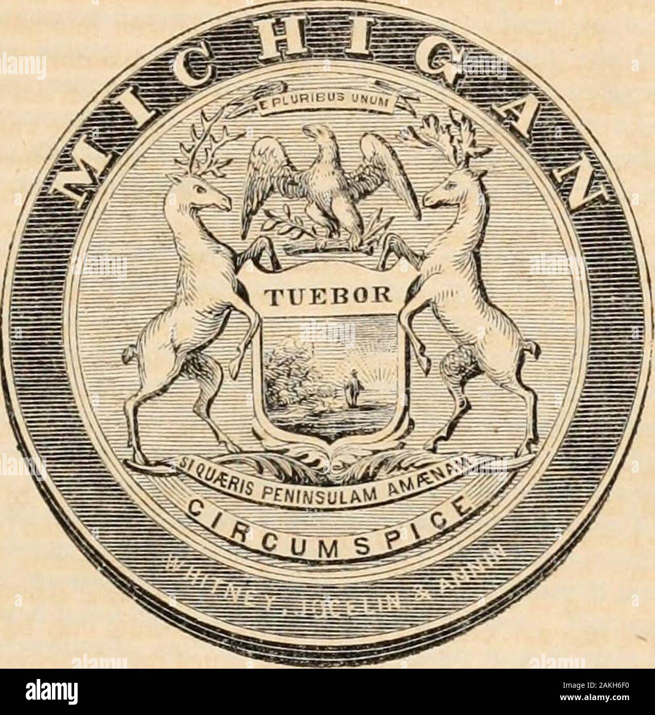 The progress of the United States of America, from the earliest periods, geographical, statistical, and historical . Stock Photo