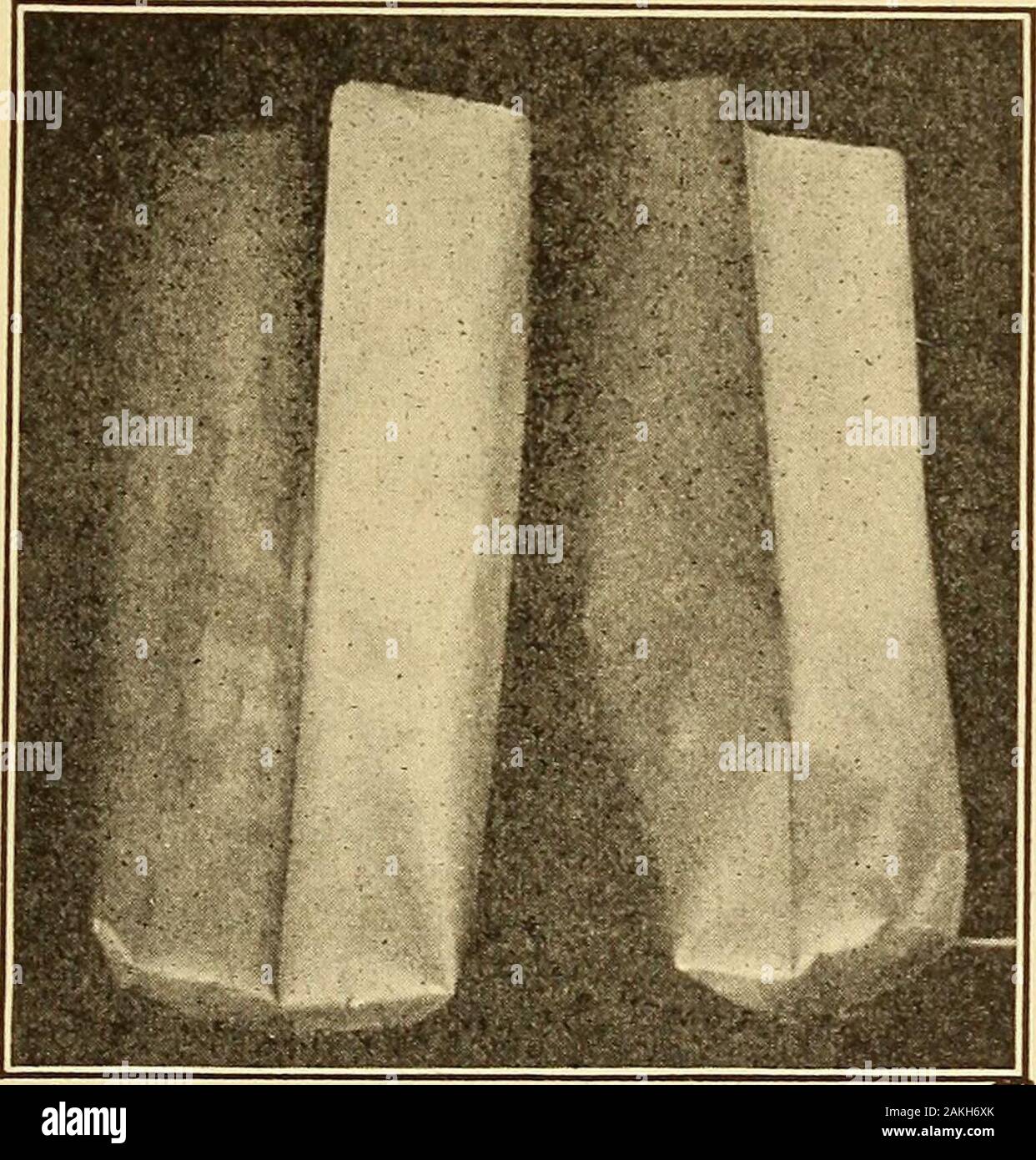 A nurse's handbook of obstetrics, for use in training-schools . Fig. 141.—Double wash-basin. solution on the table, with soft gauze wipes for the eyes andmouth; a low, comfortable chair, without arms, for the nurse;a rubber apron for the nurse and a good supply of soft towels;two good-sized paper bags, pinned together (Fig. 142), for. Fig. 142.—Paper bags pinned together. One for soiled clothing to be washed; the otherfor articles to be destroyed. soiled articles; and a bath thermometer. The infants clothing,diapers, binders, and the like should be on the rack within easy 2y6 A NURSES HANDBOOK Stock Photo