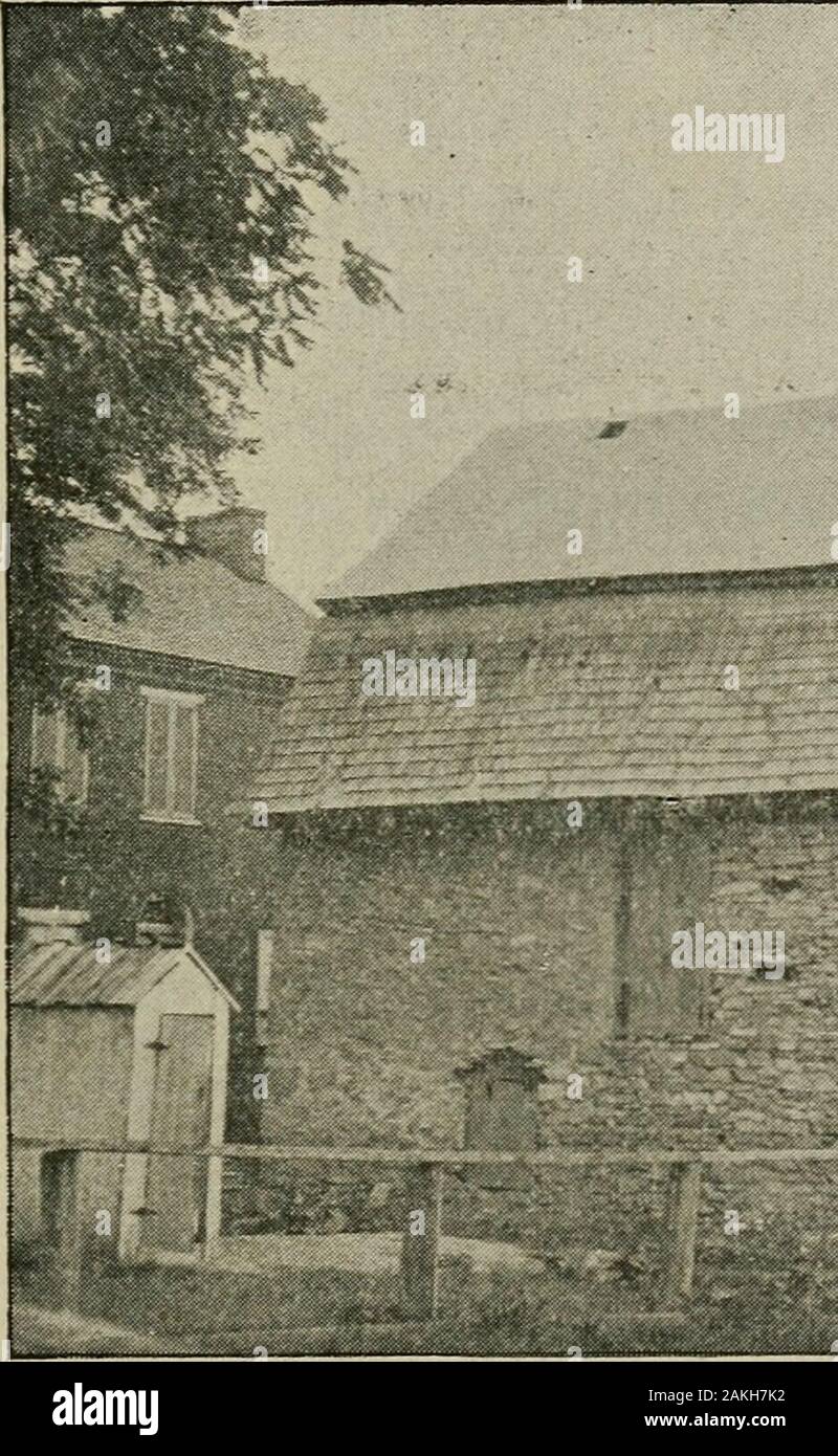 Get Erlichkeit Desktop Wallpaper Free Erlichkeit