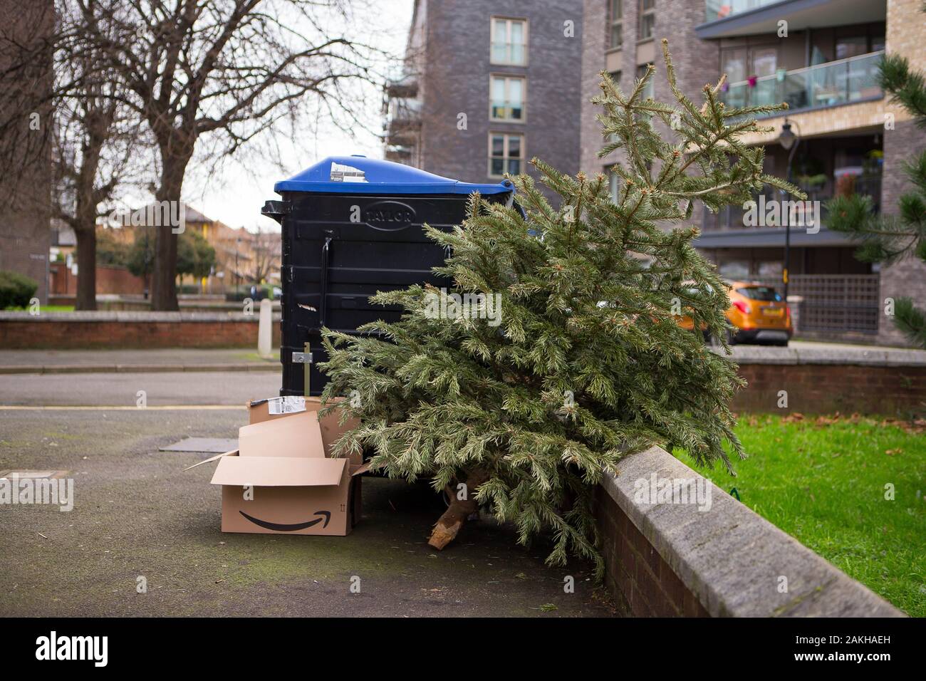 An unwanted Christmas tree is left by the bins in South East London