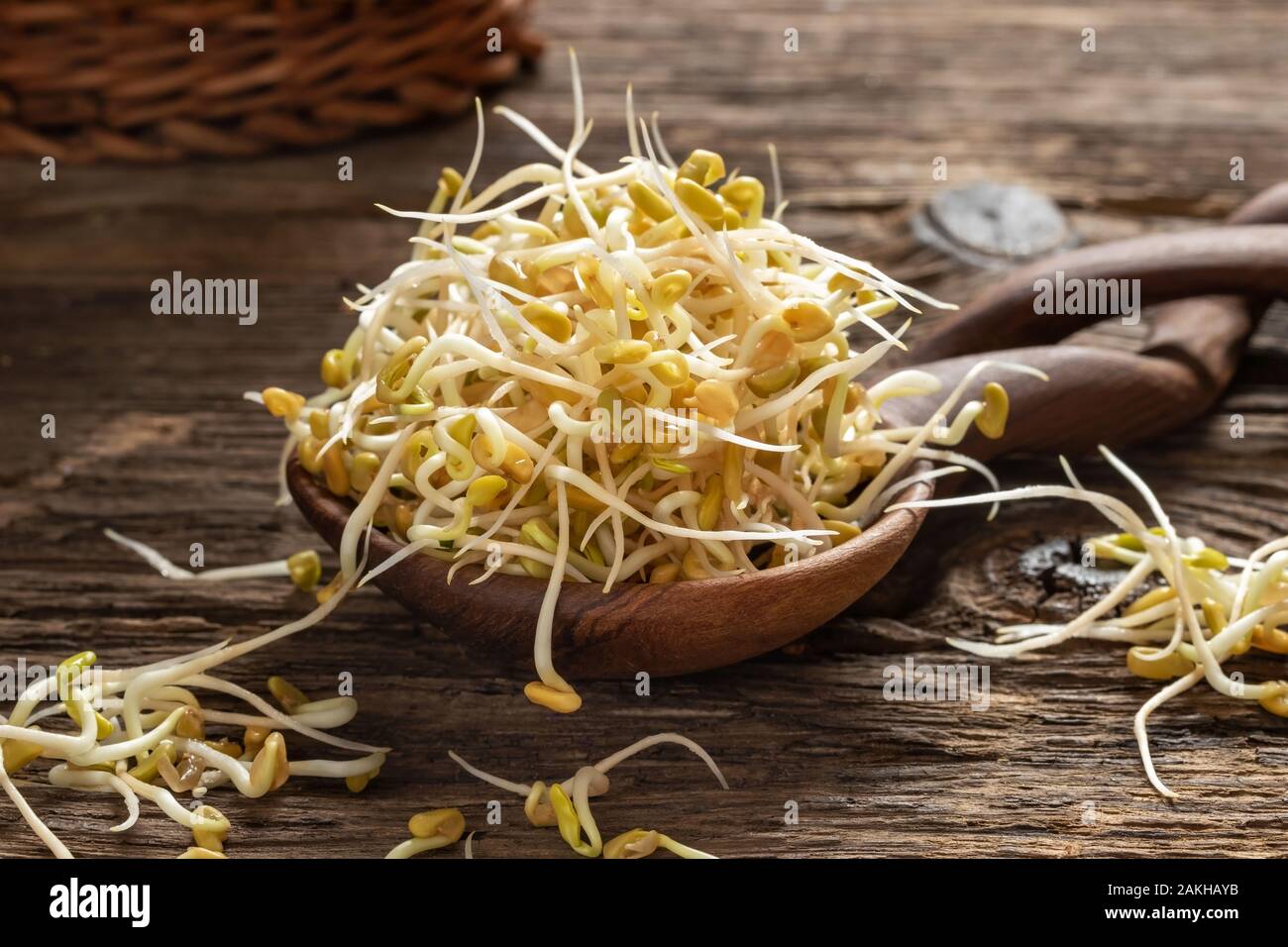 Sprouted fenugreek seeds on a spoon Stock Photo