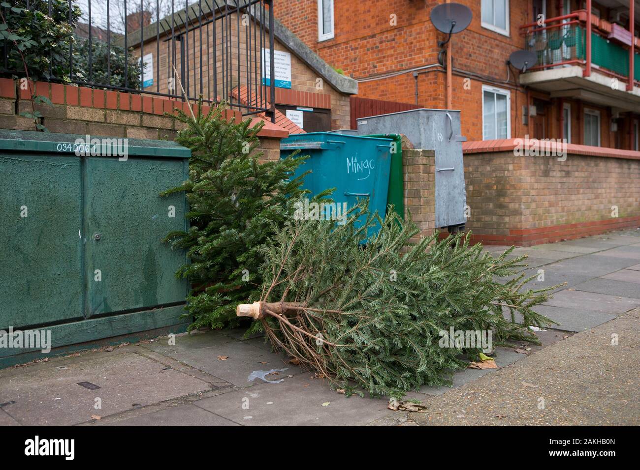 A pile of dead Christmas trees is left on the pavement in South East