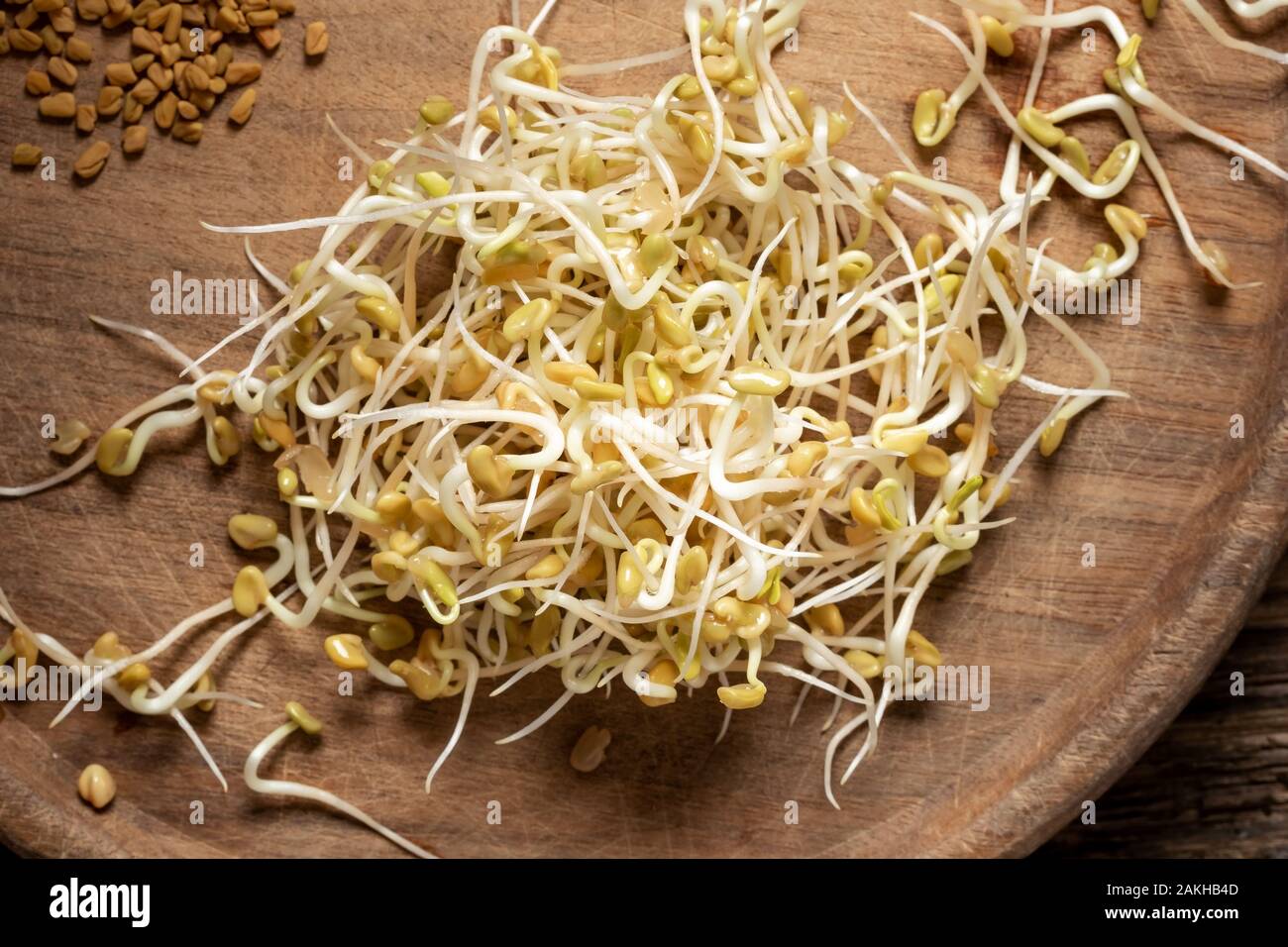Fresh fenugreek sprouts on a table, with dry seeds in the background Stock Photo
