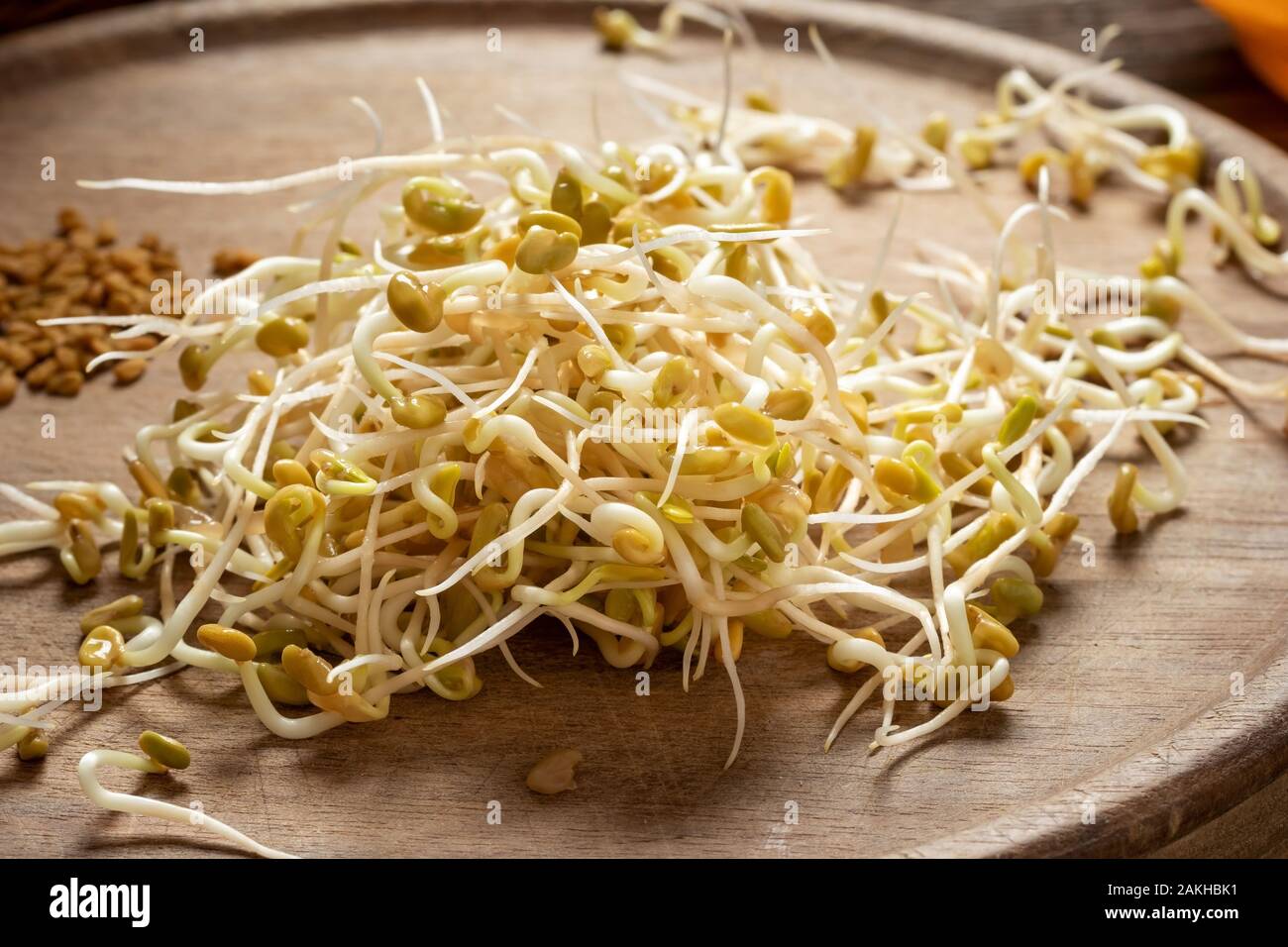 Fenugreek sprouts and dry seeds in the background Stock Photo