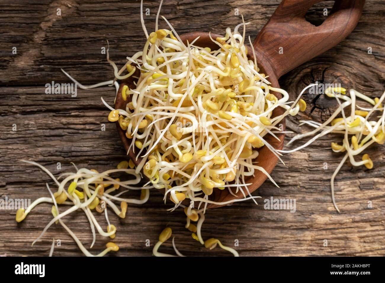 Fresh fenugreek sprouts on a wooden spoon, top view Stock Photo