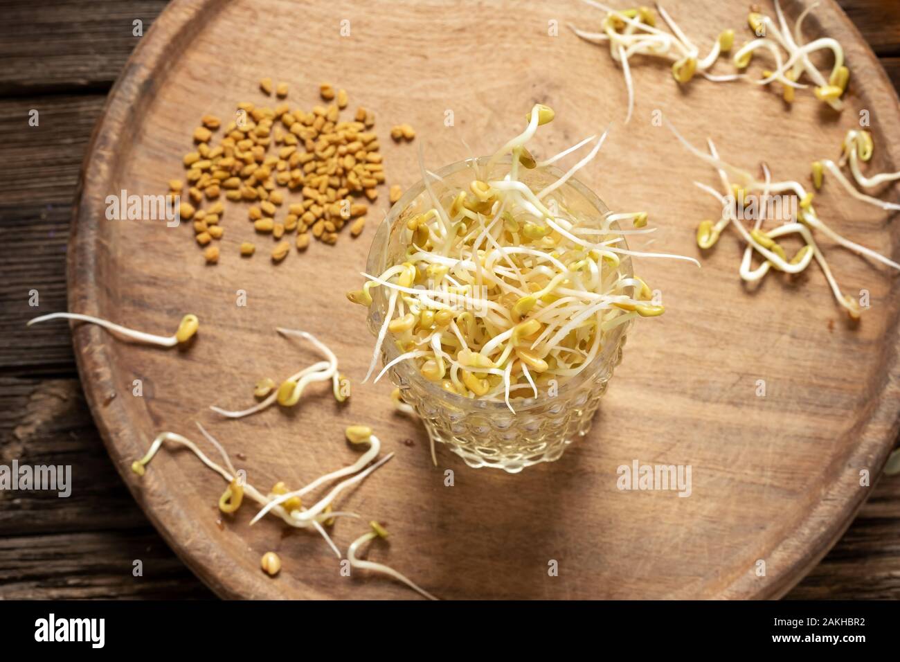 Fresh fenugreek sprouts with dry seeds in the background Stock Photo