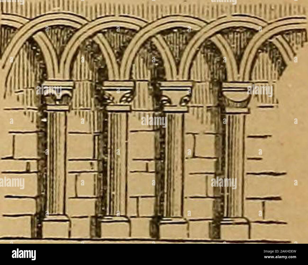 ster's practical dictionaryA practical dictionary of the English